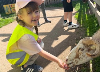 Przygoda w Mini Zoo Donkey Shot! - Grupa MYSZKI